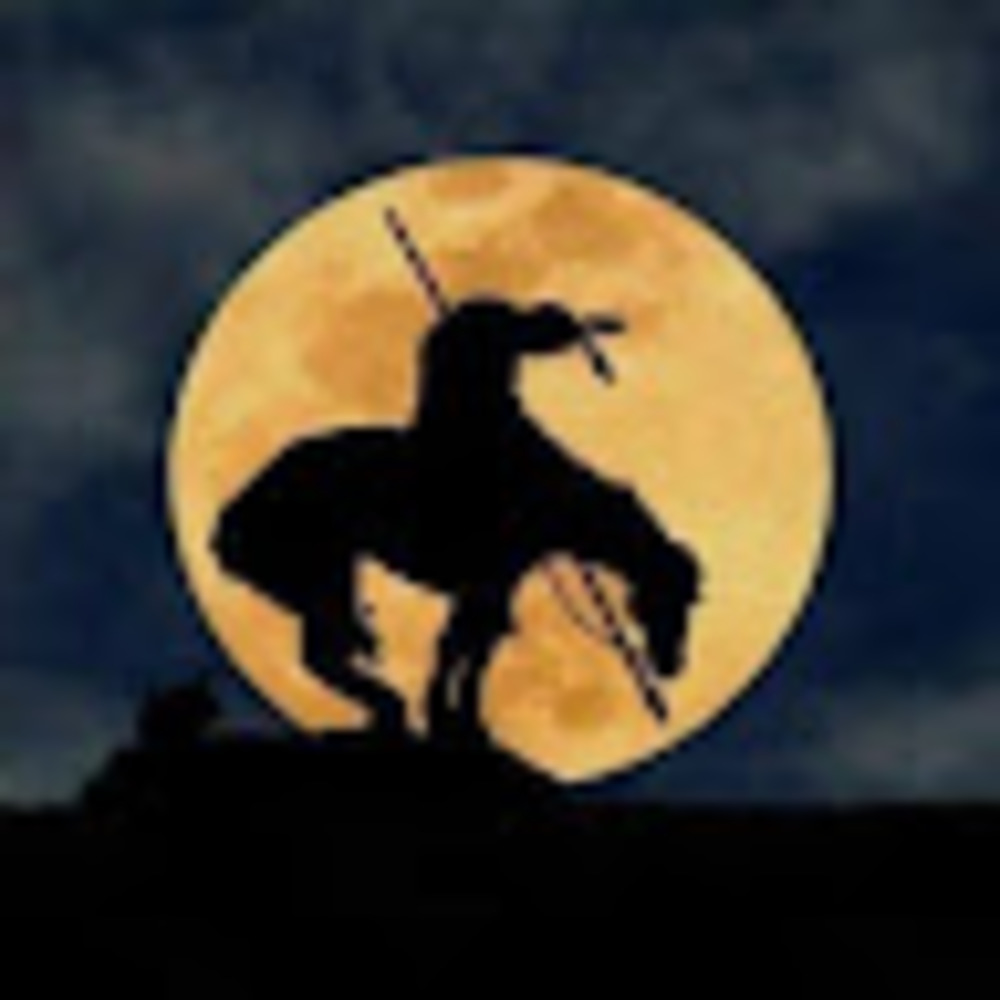 Meet your Posher, Matt